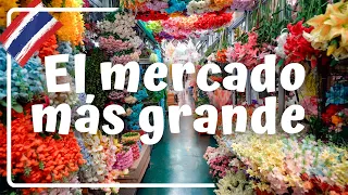 EL MERCADO DE BANGKOK ES EL MÁS GRANDE? CHATUCHAK - Tailandia #21 Luisito viajero