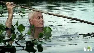 Underwater Nest of Horrors Home to a Killer? | River Monsters