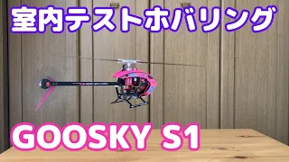 GOOSKY S1室内テストホバリング