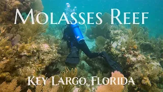 Scuba Diving Molasses Reef - Key Largo, Florida