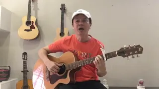 Lion king - Can You Feel The Love Tonight Cover