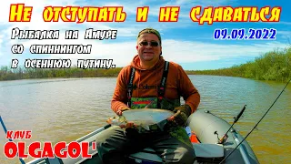 Не отступать и не сдаваться! Рыбалка на Амуре со спиннингом в осеннюю путину.