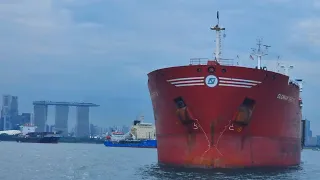 Bulk Carrier Anchorage: A Ship Spotter's Delight | SHIPSPOTTING SINGAPORE | SOUND OF OCEAN | MARITIM