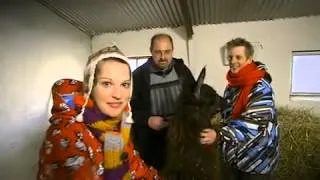 Lille Nørd - Sex med Lamaen