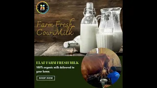 Farm fresh Cow Milk delivery in dubai&sharjah www.elaffresh.com