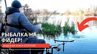 ПОДЛЕЩИК В ОКТЯБРЕ! Фидерная рыбалка в Беларуси 2021! Ловля на ФИДЕР ОСЕНЬЮ!