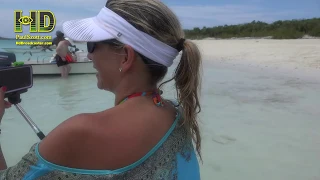 Adriana loved Pig Beach, Pig Island, Big Major Cay, Exuma, Bahamas