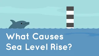 What Causes Sea Level Rise?