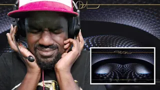 Wow | TOOL - Invincible (Reaction)