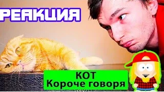 КОРОЧЕ ГОВОРЯ, КОТ РЕАКЦИЯ