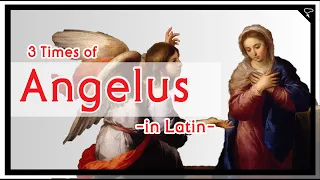 [Catholic Prayer] Angelus in Latin