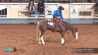 2020 AQHA Junior Reining