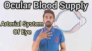 Ocular Blood Supply/ Whole Arterial System of Eye/Drainage