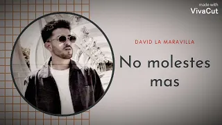 DAVID LA MARAVILLA - NO MOLESTES MÁS (AUDIO OFICIAL)