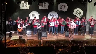 Koncert Orkestra Nika Polesa_oktober 2015