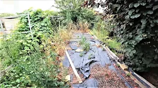 CRAZY Garden Restoration | OLD TIMERS Vegetable Patch Cleared