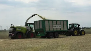 GPS häckseln  CLAAS JAGUAR 950 / Abfahrer 2 x JOHN DEERE 6250R / OSTERS & VOß / SOUND / 4K