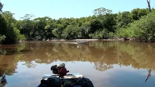 Boat Rides in the Amazon Jungle