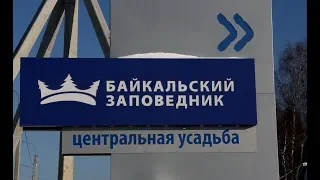 Танхой - поселок "окнами на Байкал". Как живут люди, которые стали частью биосферного заповедника.