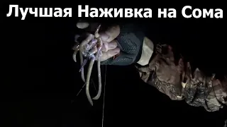 Лучшая наживка для ловли Сома. На что ловить сома. bait for catching catfish