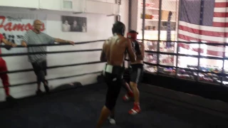 Davide Jesus Bosco Sparring at 5th Street Gym (Miami Beach)