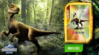 A Female Alpha Raptor "The Big One" Max Level 40 And Battle - Jurassic World The Game