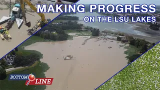 Making Progress on the LSU Lakes | Bottom Line