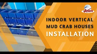 Indoor Vertical Mud Crab Houses Installation