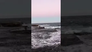 Rescue off Mahon Pool, Maroubra - 17th August 2019