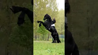 Horse rider 🐎