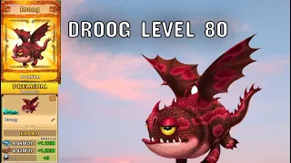 DROOG - The Hobgobbler Level 80 PREMIUM