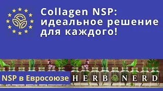 Collagen NSP: идеальное решение для каждого!