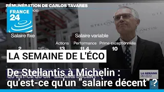 De Stellantis à Michelin : qu'est-ce qu'un "salaire décent" ? • FRANCE 24