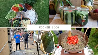 So viel Gemüse aus dem eigenen Garten 😍 Unser Schwager Kocht für uns | Gemüse Fermentieren | VLOG