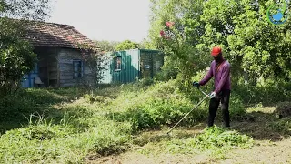 Amazing Transformation, Helping Clean Up an Abandoned House with Overgrown Grass