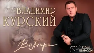 Владимир Курский - Волчара (Альбом 2014) | Русский шансон