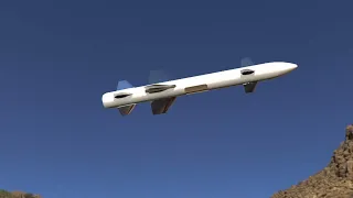 I built a three-winged canard active control rocket