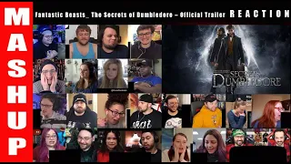 Fantastic Beasts _The Secrets of Dumbledore – Official Trailer REACTION MASHUP!!!