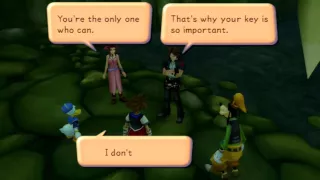 Kingdom Hearts HD 1.5 ReMix - Sewer Glitch/Clip (Traverse Town)