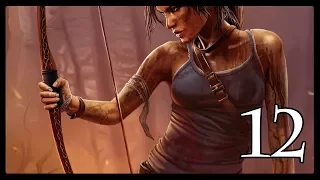 Tomb Raider #12: Дворец императрицы солнца.