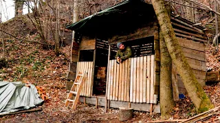 I Will convert my Outdoor Shelter into a small cozy Cabin in the Forest, ASMR