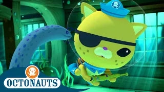 @Octonauts -  ⚓ The Slime Eels 🪱 | Season 1 | Full Episodes | Cartoons for Kids