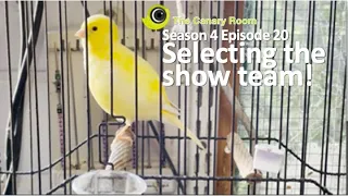 The Canary Room Season 4- Episode 20 - Selecting the show team