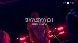 SUPER JUNIOR (슈퍼주니어) '2YA2YAO!' Stage Mix (Bright & Shadow Ver.)