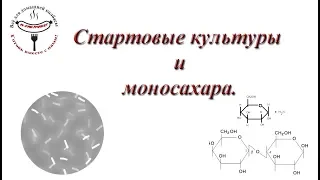 Стартовые культуры и моносахара для сыровяленой колбасы.