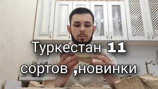 Все виды Туркестан | Новинки | Кудряшка | Шоколад | Пористый | Жёлтый | Глины | Меловой