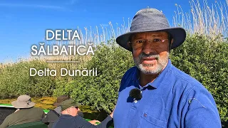 Delta Sălbatică - Delta Dunării