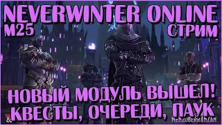 Новый модуль вышел! Смотрю с утра пораньше | Neverwinter Online | M25