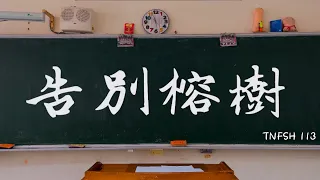 臺南一中113級畢業歌《告別榕樹》MV