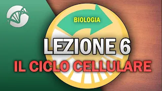 BIOLOGIA - Lezione 6 - Il Ciclo Cellulare